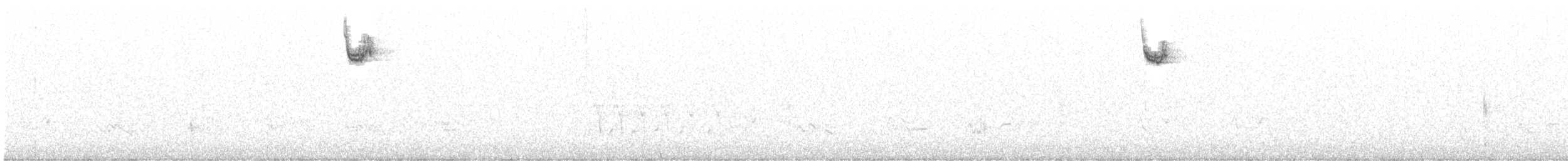 Bruant à gorge blanche - ML336919641