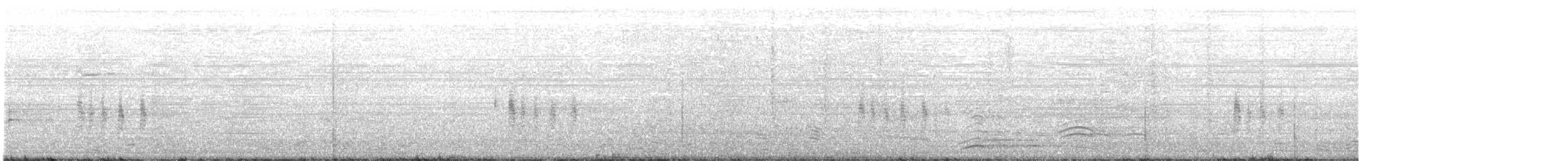 Antillennachtschwalbe - ML336981631