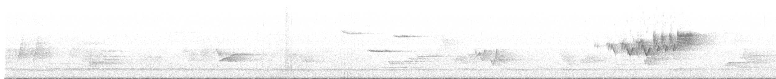 Cerulean Warbler - ML336995861