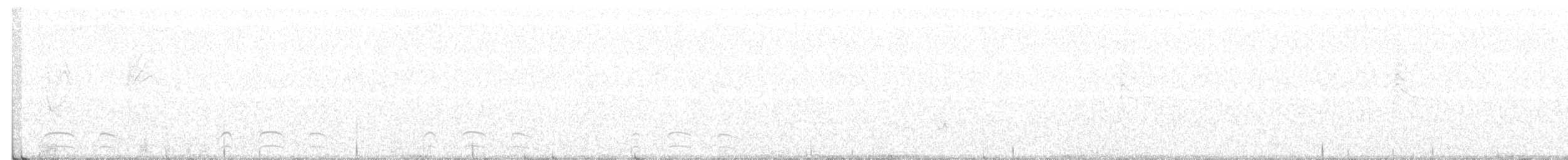 leskot modrošedý [skupina obscura] - ML337007291