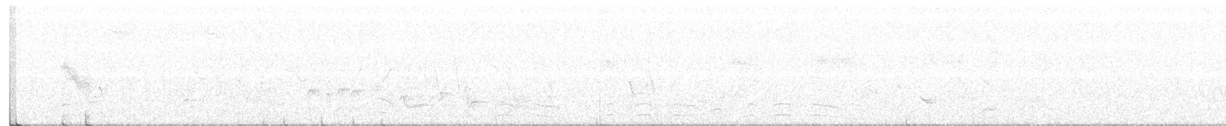 leskot modrošedý [skupina obscura] - ML337007541