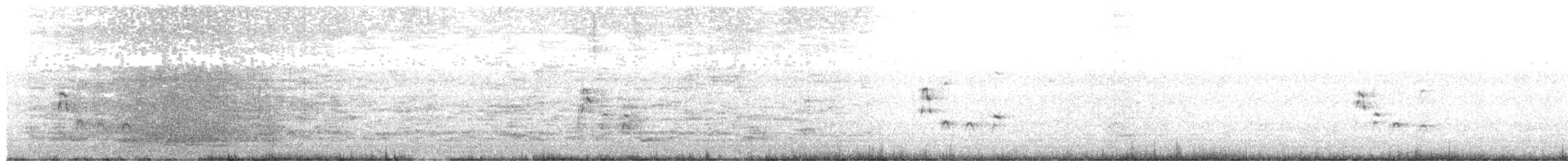 srpatka ibisovitá - ML337023521