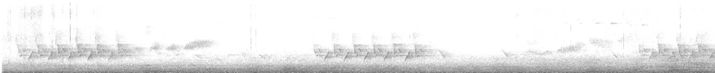 Black-throated Blue Warbler - ML337080151