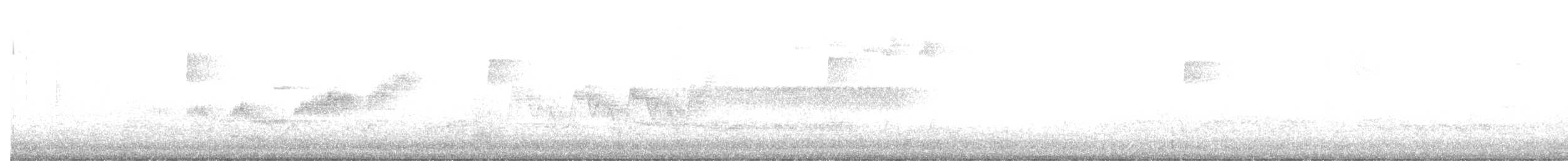 Black-throated Blue Warbler - ML337080941