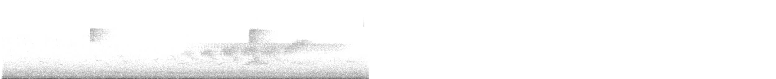 Black-throated Blue Warbler - ML337082131