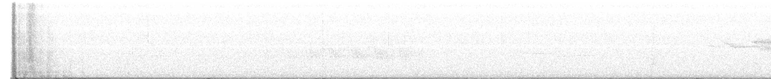 Black-throated Blue Warbler - ML337184801