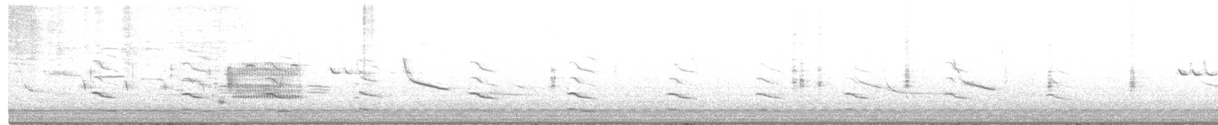 Полярная чайка (kumlieni) - ML337198971