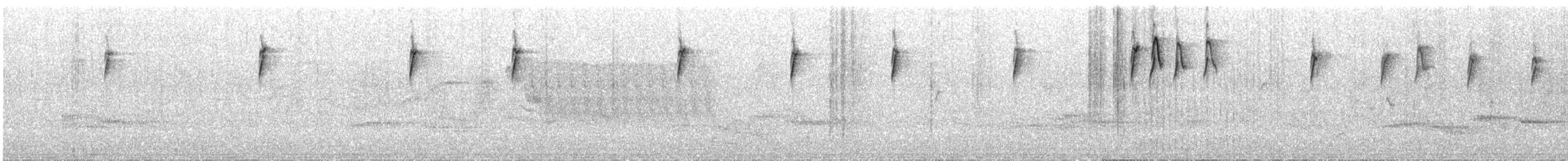 Serin d'Abyssinie - ML33720631