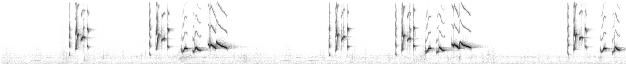Alaca Kanatlı Çalı Bülbülü [leucoptera grubu] - ML33721071