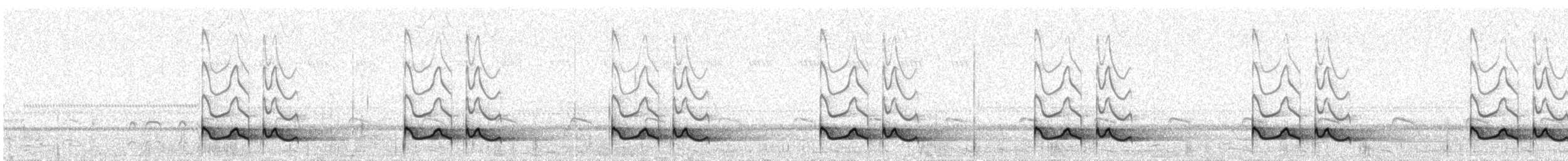 Donaldson Smith's Nightjar - ML33721921