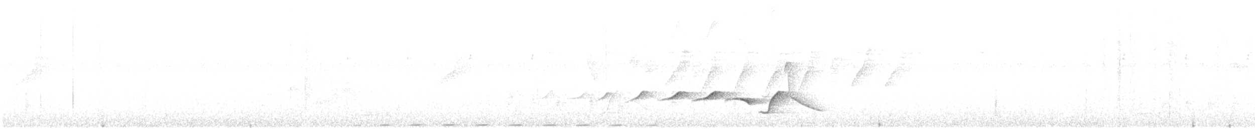 Mangrove Whistler - ML337286681