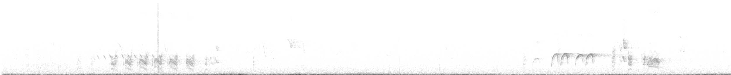 White-browed Babbler - ML337288581