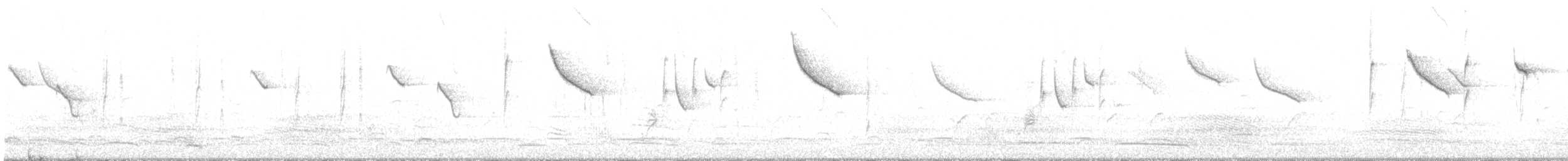 Шиподзьоб рудогузий - ML337288921