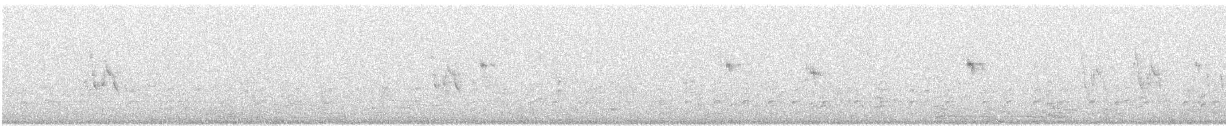 White Wagtail - ML337340811