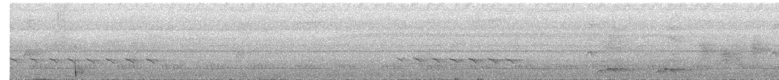 オオヒメコノハドリ - ML337361021