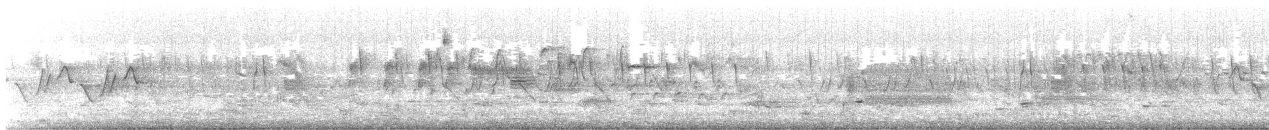 Willow Flycatcher - ML337367771