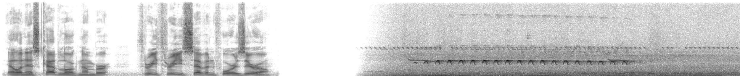 Western Fire-eye (maura Group) - ML33740
