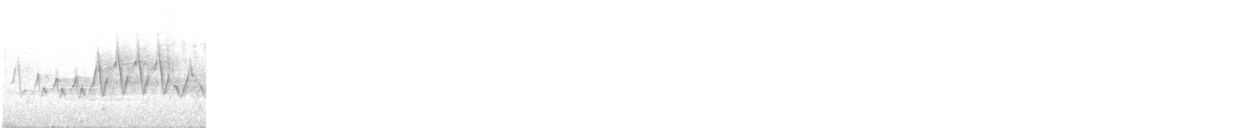 Chestnut-sided Warbler - ML337403041