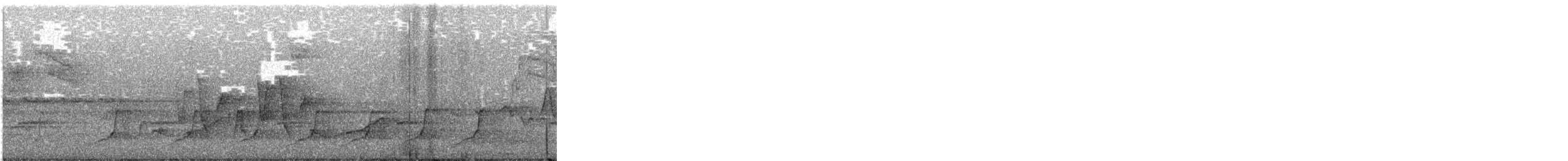 Augenring-Waldsänger - ML337403671