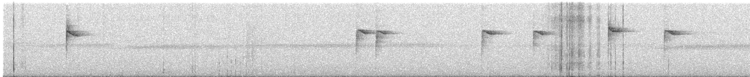 White-browed Warbler - ML337444411