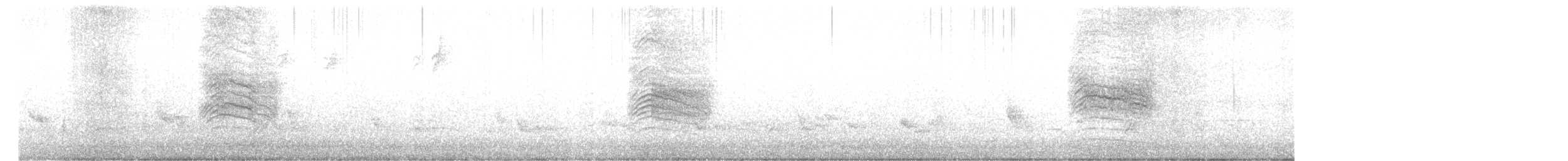 Gray Catbird - ML337531381
