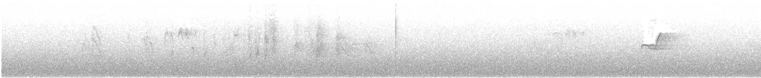 Empidonax sp. - ML337593741