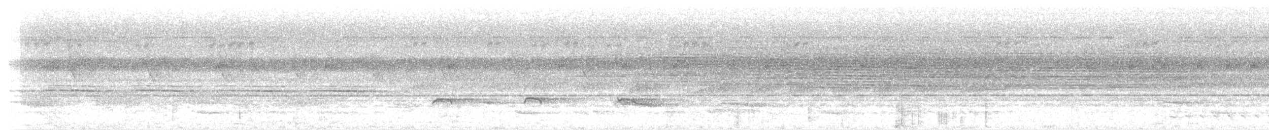 クリセアリドリ - ML337639611