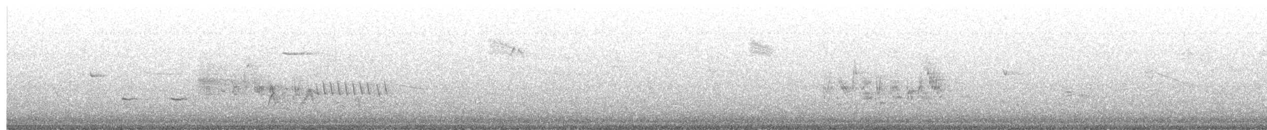 Bell's Vireo - ML337647311