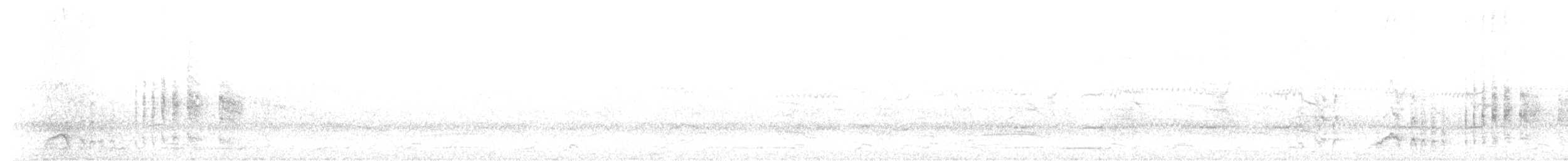 ススイロウミツバメ - ML337648001