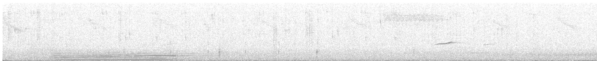 Oriole cul-noir - ML33765951