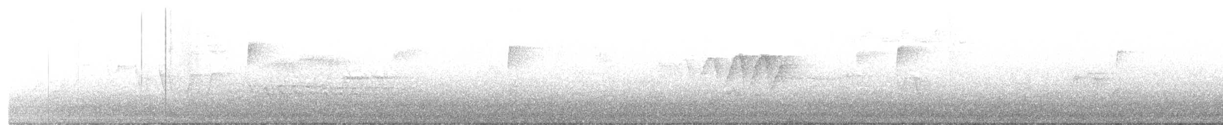 tanımsız Parulidae sp. - ML337789491