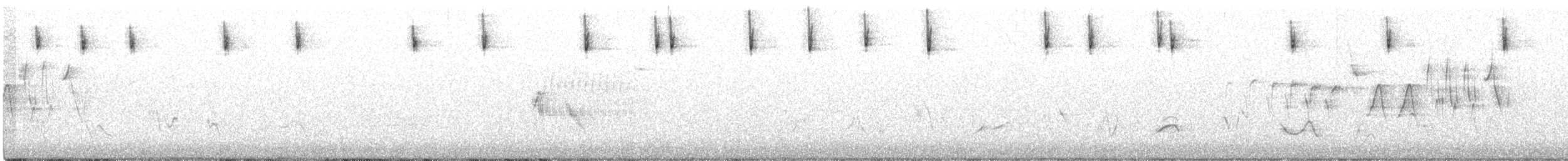 Porsuk Serçesi (nuttalli/pugetensis) - ML337798771