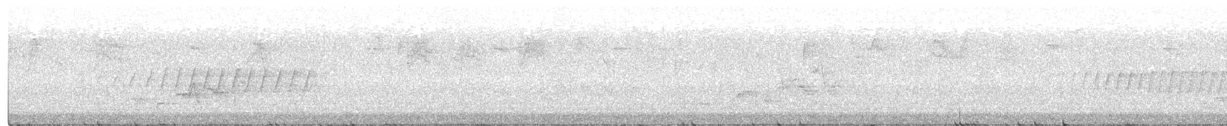 Дрізд-короткодзьоб Cвенсона - ML337814881