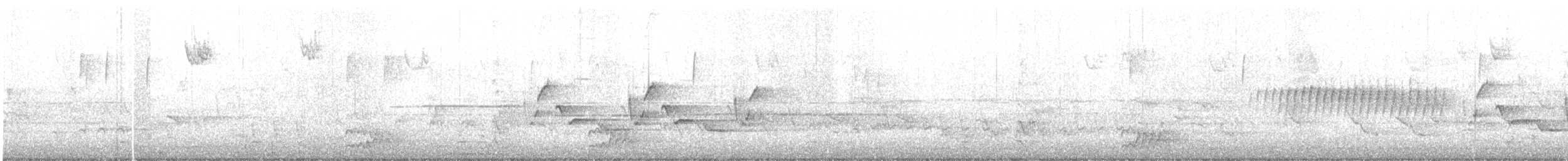 Pine Warbler - ML337837721