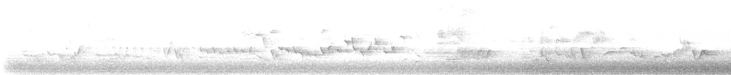 Orman Çıtkuşu - ML337853281