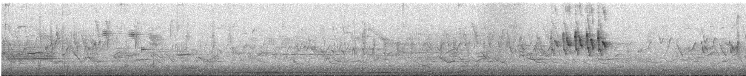 Wilson's Warbler - ML337891571