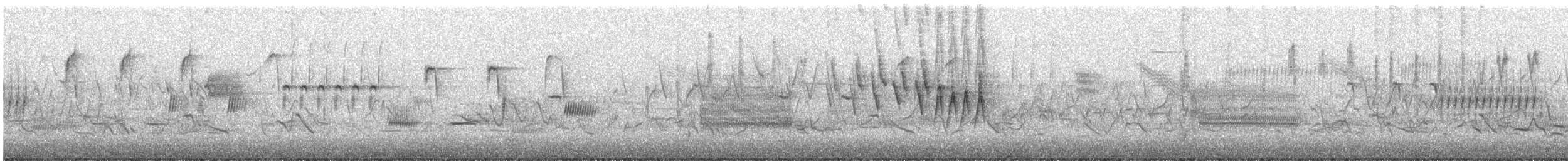 Wilson's Warbler - ML337891841