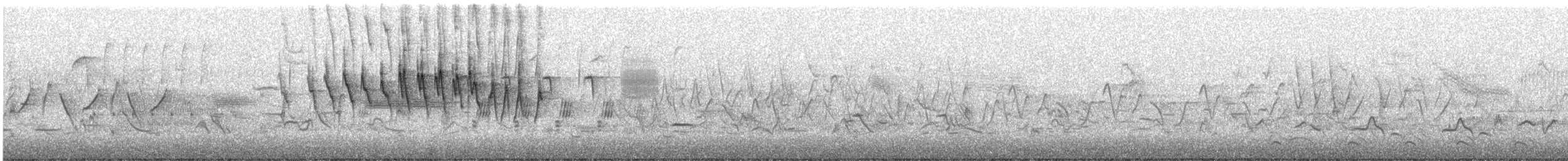 Wilson's Warbler - ML337892291