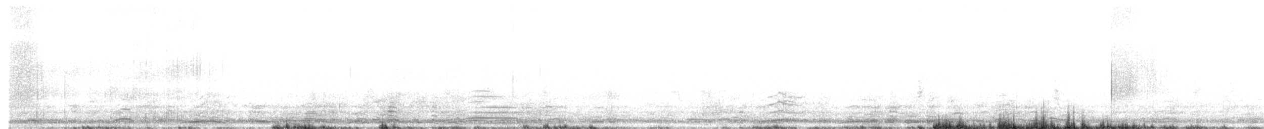 Cygne siffleur - ML337940891