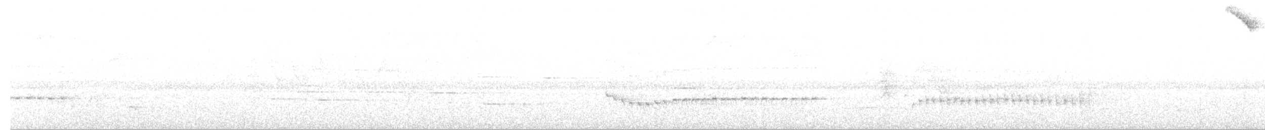 Schwarzschwanz-Degenschnäbler - ML33800361