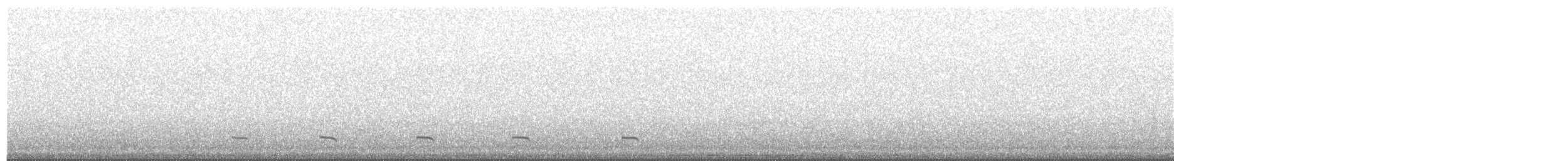 Common Scoter - ML338064191