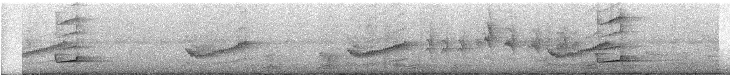 perletreløper - ML338108281