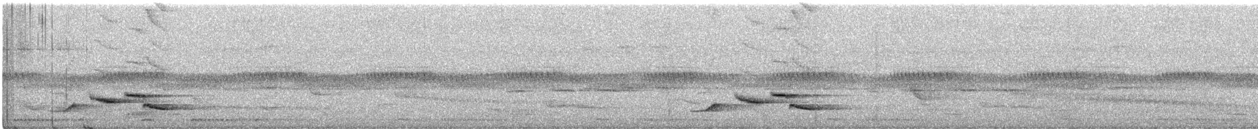 Cichladuse à queue rousse - ML338122391