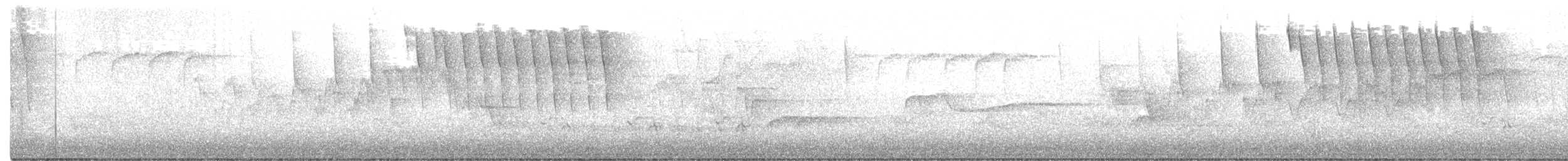 Paruline obscure - ML338138591