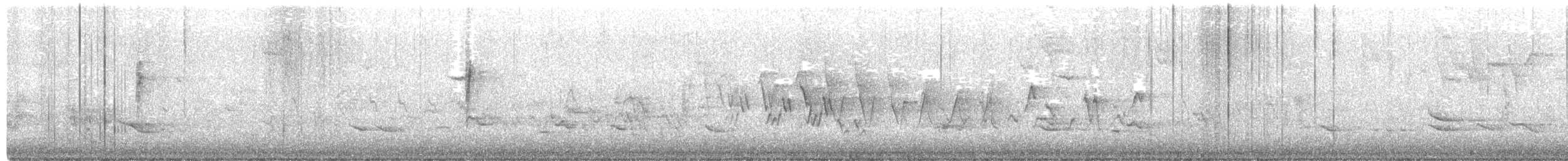 Mourning Warbler - ML338178871