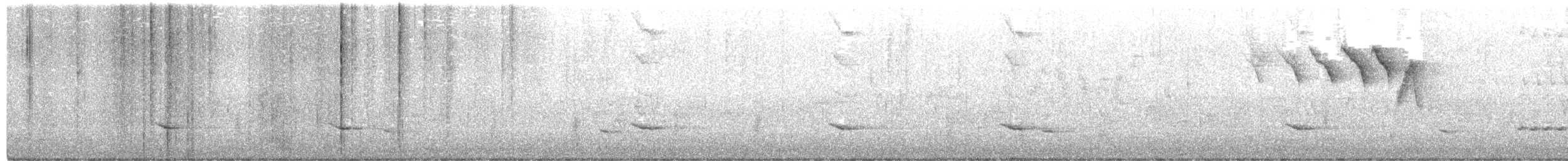 Mourning Warbler - ML338178941