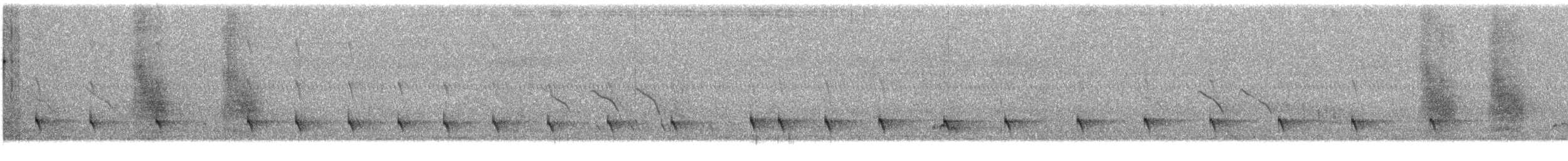 Olive Bee-eater - ML338180101
