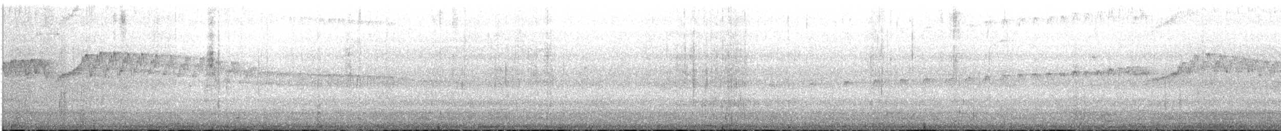 Pigeon Guillemot - ML338205951