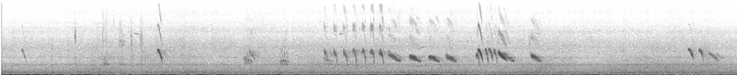 Purple Martin - ML338205981