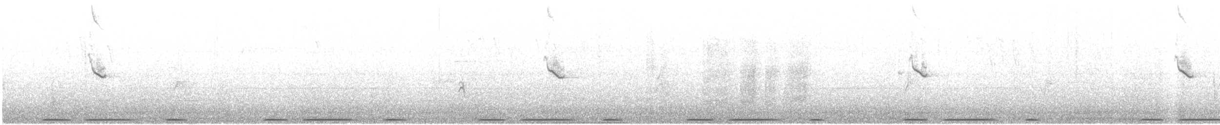 Eurasian Collared-Dove - ML338217401